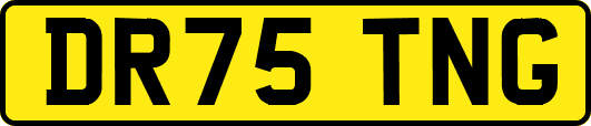 DR75TNG
