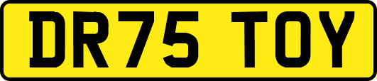 DR75TOY
