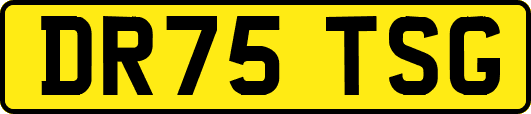 DR75TSG
