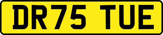 DR75TUE