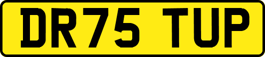 DR75TUP