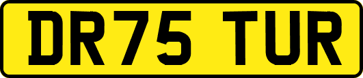 DR75TUR