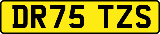 DR75TZS