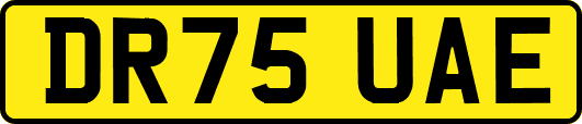 DR75UAE