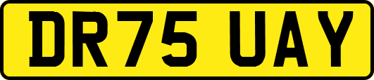 DR75UAY
