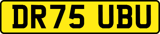 DR75UBU