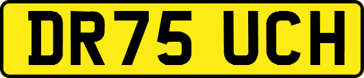 DR75UCH