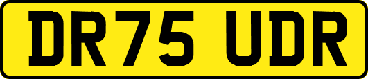 DR75UDR