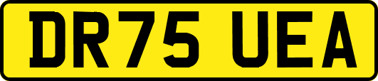 DR75UEA