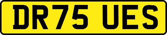 DR75UES