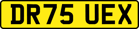 DR75UEX
