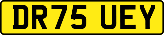DR75UEY