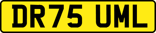 DR75UML