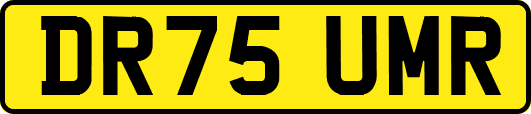 DR75UMR