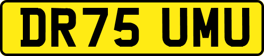 DR75UMU