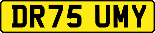 DR75UMY