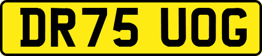 DR75UOG