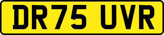 DR75UVR