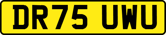 DR75UWU