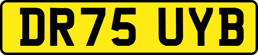 DR75UYB