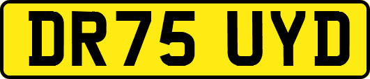 DR75UYD
