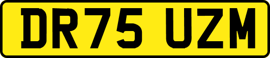 DR75UZM