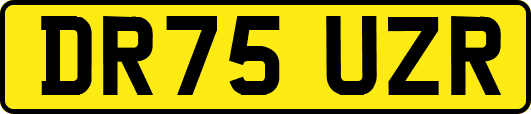 DR75UZR