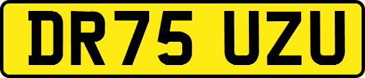 DR75UZU