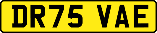DR75VAE
