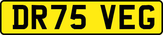 DR75VEG