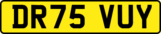 DR75VUY