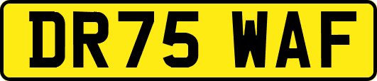 DR75WAF