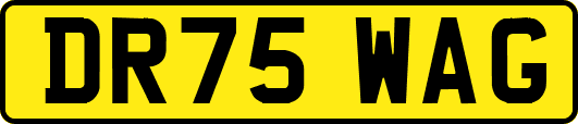 DR75WAG