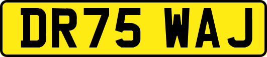 DR75WAJ
