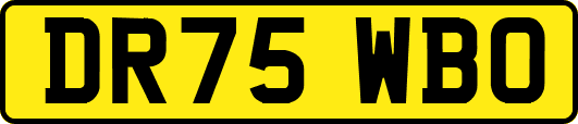 DR75WBO