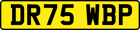 DR75WBP