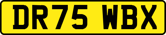 DR75WBX