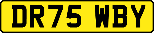 DR75WBY