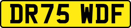 DR75WDF