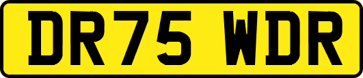 DR75WDR