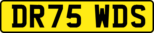 DR75WDS