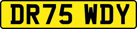 DR75WDY
