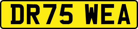 DR75WEA