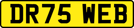 DR75WEB