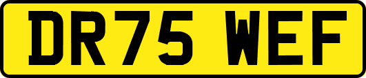 DR75WEF