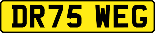 DR75WEG