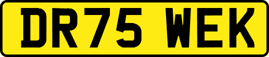 DR75WEK