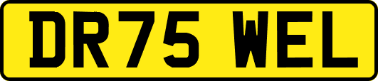 DR75WEL