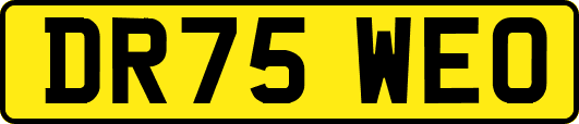 DR75WEO