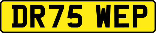 DR75WEP